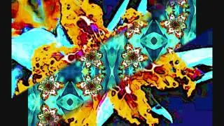 KARIZMA TEXTILE DESIGNS   - FERRARIA CRISPA