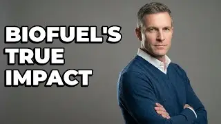 How Does Biofuel Production Affect Sustainable Transport?