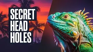 The Secret Behind Iguana Head Holes: Unraveling Nature's Unique Adaptation! #Iguana#Wildlife