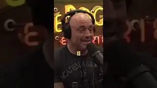 Joe Rogan: People Don't Think Independently In Politics | JRE
