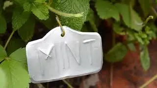 Green Living Festival 2020 Workshop: Zero Waste Craft with nonprofit organization Perennial