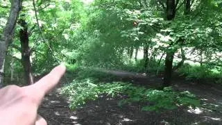 my airsoft tree fort/ sniper tower