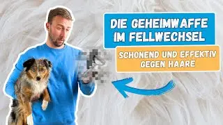 Unterwollb&uuml;rste f&uuml;r Hunde und Katzen - Die Geheimwaffe im Fellwechsel | BluePet UnterwollToll