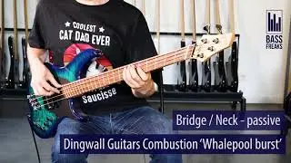 Dingwall Combustion  Live Demo - BassFreaks.net
