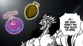 The 2 Most Powerful Devil Fruits in One Piece
