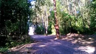 RAPTOR X-MOTO 250cc