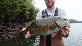 FALL Finesse Fishing for BIG Smallmouth on DALE HOLLOW!