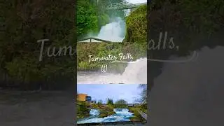 One place to know in Washington 💙🇺🇲 #tacoma #seattle #tumwater #olympia #hangout