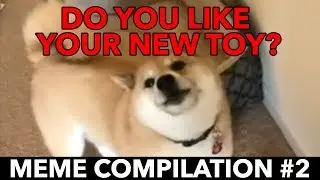 Do you like your new toy? - Meme Compilation #2