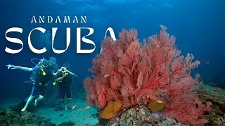 Best place for Scuba Diving in Andaman