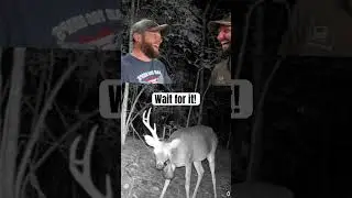 That didn&rsquo;t go as planned #deer #hunting #creepy #bloopers #fyp #dontflop
