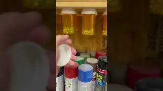 Day two of shop storage ideas&hellip;jars!