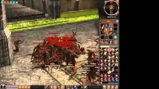 Chieka-DDMT2 SD2 Farm