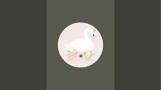 Beh&iacute;v&oacute;s LIVE LPS bont&aacute;s 🫶🏻🐨🐶🐸