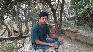 THE  Bast
