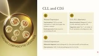 Cluster differentiations