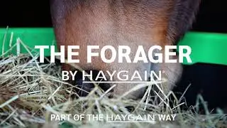 Introducing The Forager Slow Feeder