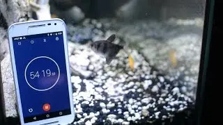 Moto G 3rd Generation (2015) ONE HOUR Waterproof Stress Test