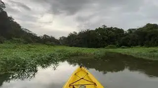 Avondkayak aan Jungle Land Panama