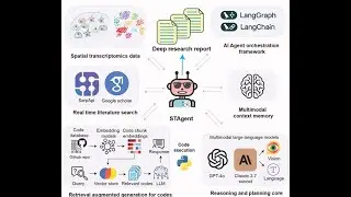 HIRN Webinar: STAgent: Autonomous Spatial Transcriptomics AI Agent for Pancreatic Research & Beyond