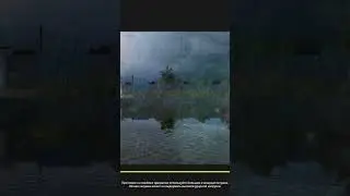 Русская рыбалка 4. ШТРАФНОЙ ПРУД. Кто на штрафном не бывал тот рыбалки не видал))) #русскаярыбалка