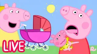 Peppa Pig 🐷 Peppa joue avec Bébé Cochon ! 🍼 Dessins animés en français