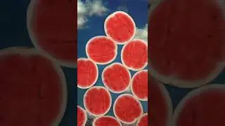Robbery Club - Watermelon (John + Jane Q. Public Cover)