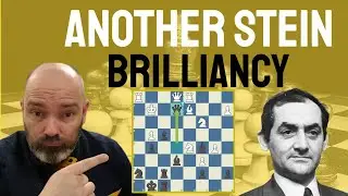 Another Brilliant Chess Move by Leonid Stein
