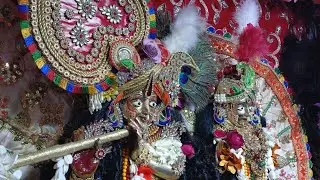 ठाकुरजी श्रृंगार । कानपुर #bankebihari #premmandir #punamdidi #shringar