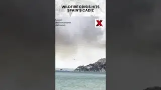 #spain | Massive Wildfires Spread Across Spain&rsquo;s Cadiz Region | NewsX World