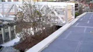 Daylighting the Saw Mill River 12 10 2011 034.MOV