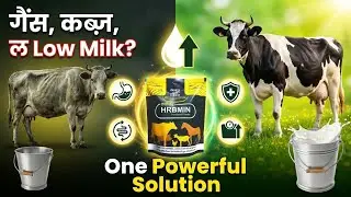 HRBMIN Granulated Powder | Disease-Wise Working & Ingredient Action | #akharvzoocare #HRBMIN