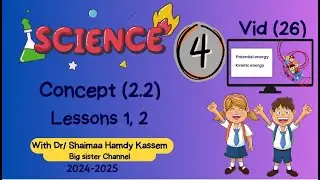 Primary 4 Science First term 2024/25 Concept 2.2   Lessons 1,2 - @BigsisterShaimaaHamdy