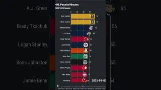 NHL Penalty Minutes