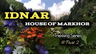 Idnar Trekking Series || Part 2 || Lachipora Wildlife Sanctuary || House Of Markhor ||