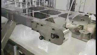 Plastic PP Take Away Food Tray Thermoforming Machine
