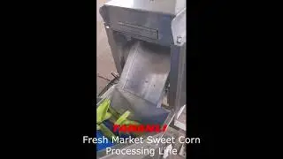 TABANLI Fresh Market Sweet Corn Processing Line