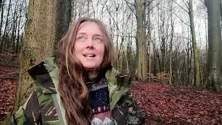 Wassail
