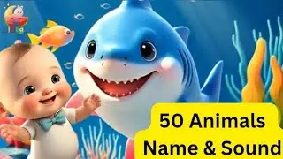 50 Cute 3D Animals Name & Sound | Learn Farm, Wild, Sea, Reptile & Insect Animals for Kids