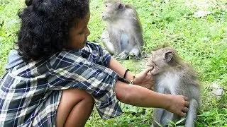 Awesome Girl Playing With Wild Monkey | She is a best friend of Monkeys