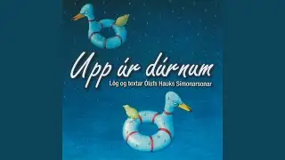Vi&eth; erum fuglar