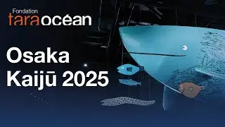 Osaka 2025 World Expo Retrospective &ndash; A Monumental Work Between Art and Ocean
