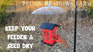 iBorn 13-Inch Bird Feeder Weather Guard | Keeps Seed Dry in Rain, Wind & Snow