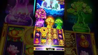 DRAGON TRIO Slot &ndash; &euro;3,76 Bet Session with Double Free Game Bonus, But a Sad Ending!
