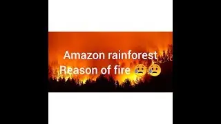 Amazon rainforest reason of fire 😥😥