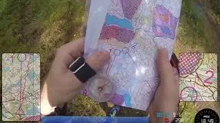Orienteering - O-Ringen Kolmården 2019 H55K - Stage 1