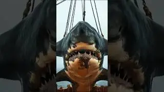 Big Dolphin Ultimate Transformation 🐬