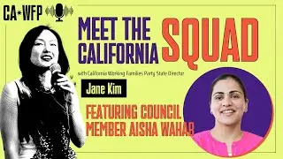 Meet the Squad Series: Aisha Wahab for Senate District 10