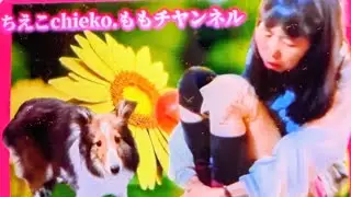 (初見さん大歓迎）午前の部始めます