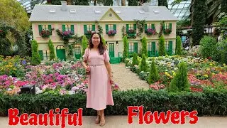 BEAUTIFUL FLOWER DISPLAY AT FLOWER DOME GARDENS BY THE BAY
